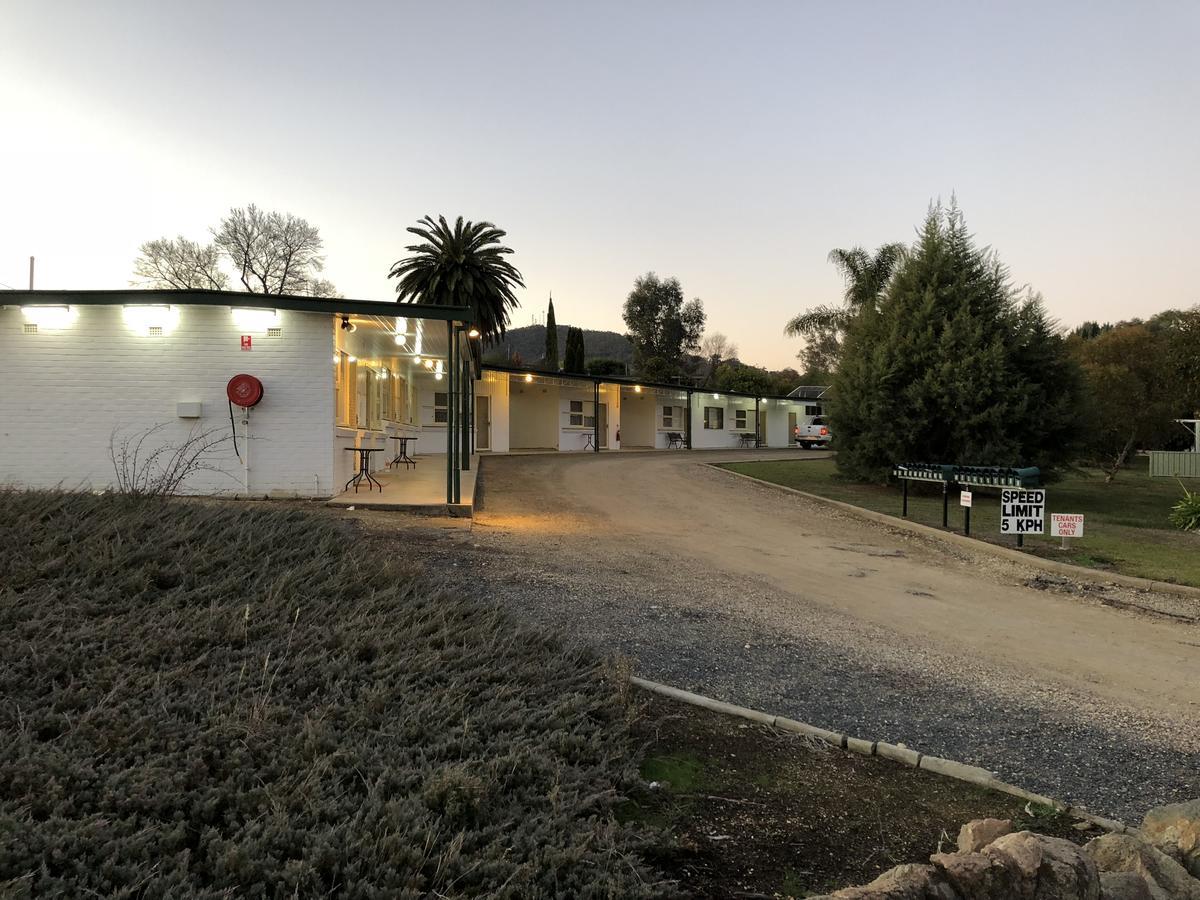 Green Door Motel Lavington Exterior foto